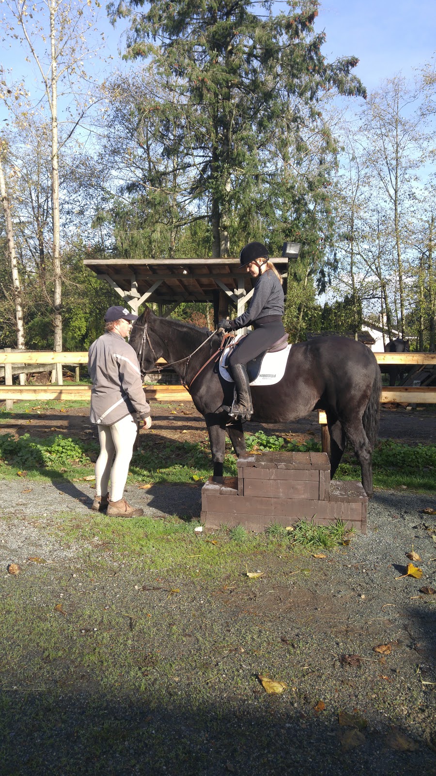 Langley 204 Horseback Riding | 543 204 St, Langley City, BC V2Z 1V5, Canada | Phone: (604) 533-7978