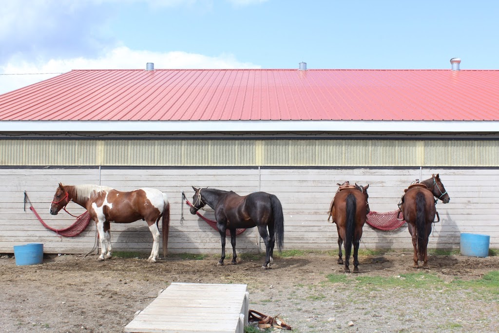 Erin Valley Riding Stable | 8825 Barnhartvale Rd, Kamloops, BC V2C 6W1, Canada | Phone: (250) 573-5442