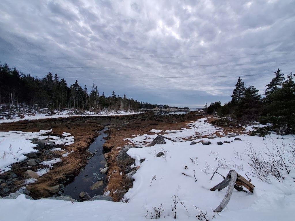 DIGITAL DOOR | 521Bald, Rock Rd, Bald Rock, NS B3V 1K9, Canada | Phone: (902) 800-2324