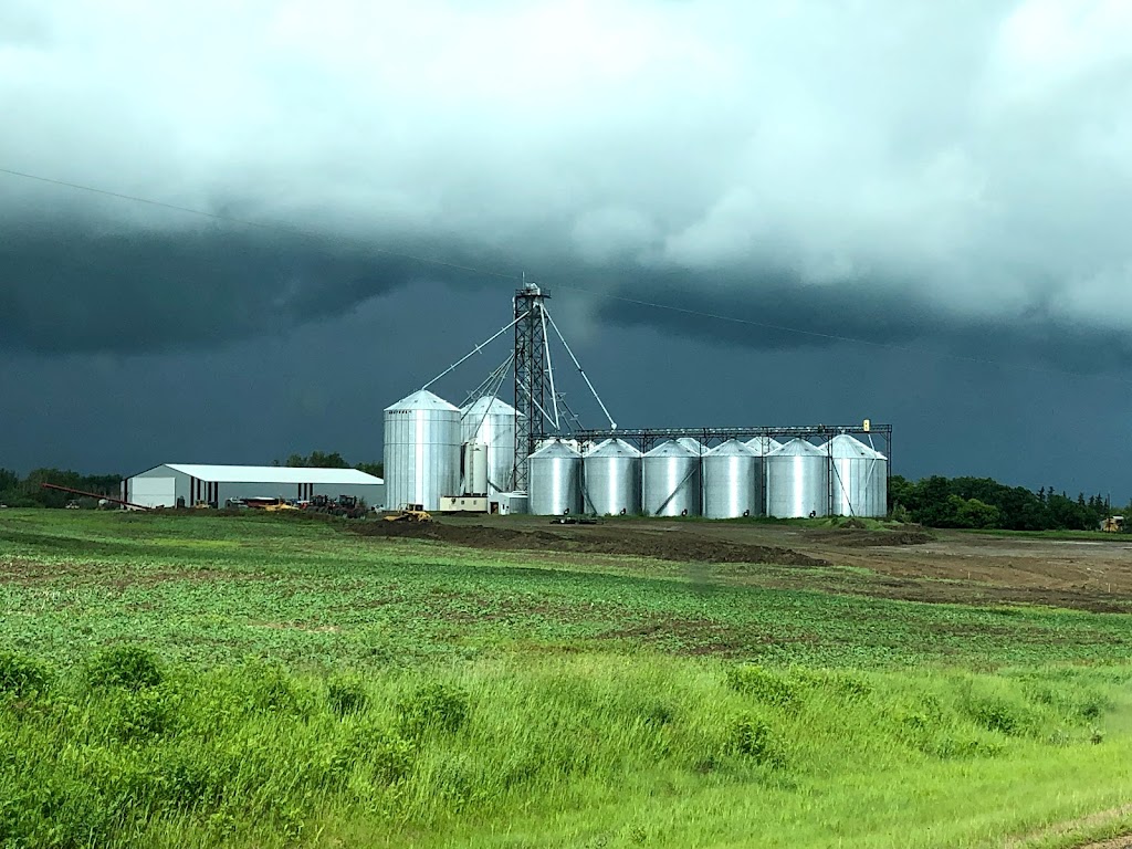 Alberta Feed Grain | 1402 HWY 654, Highridge, AB T0G 1W0, Canada | Phone: (888) 483-8789