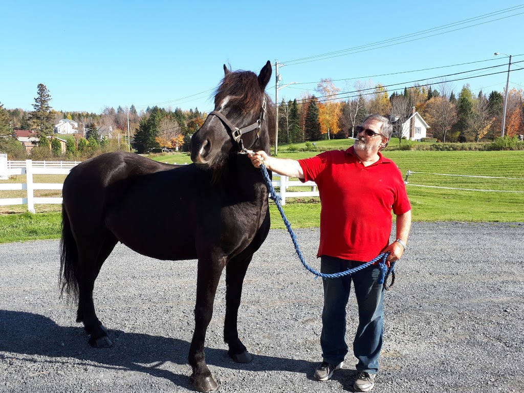 Centre Equestre Evasion | 2005 Chemin Lemire, Sherbrooke, QC J1H 0C5, Canada | Phone: (819) 345-2206