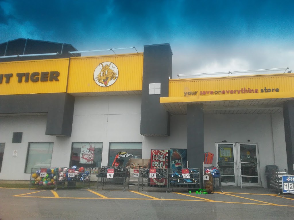 Giant Tiger | 19 Racine St, Casselman, ON K0A 1M0, Canada | Phone: (613) 764-1533