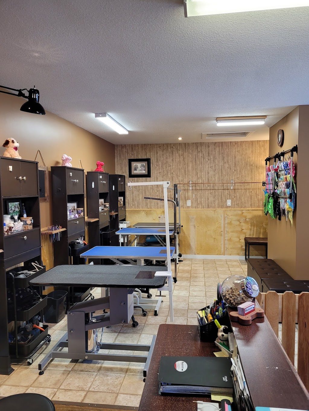 Doghouse Grooming Salon | 2220 3rd Ave W, Owen Sound, ON N4K 4S2, Canada | Phone: (519) 404-8825