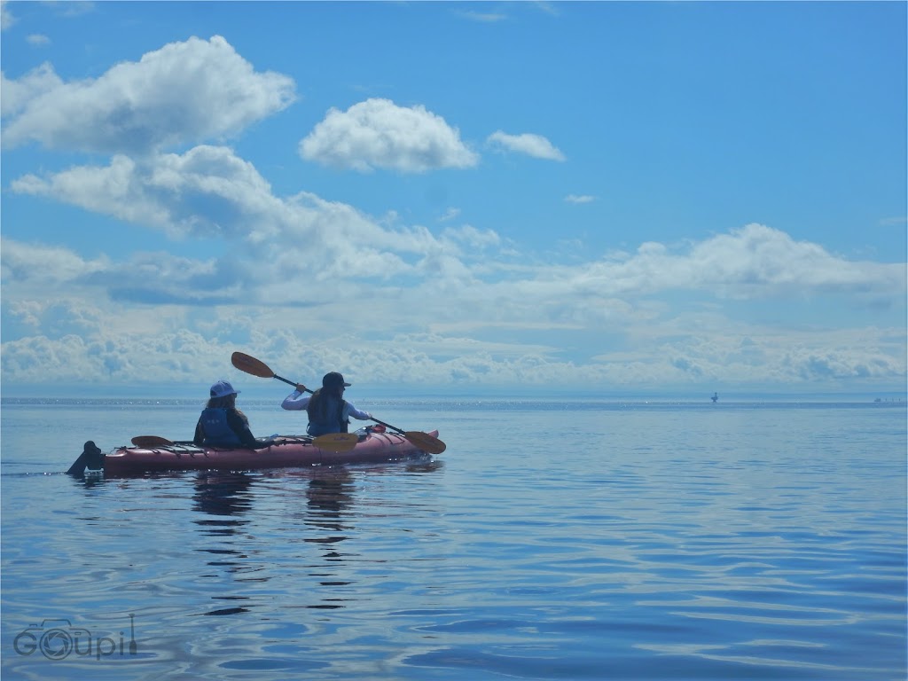 Tadoussac Autrement - Kayak de mer | 145 Rue du Bord de lEau, Tadoussac, QC G0T 2A0, Canada | Phone: (418) 355-4305