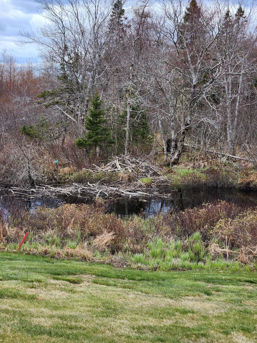 West Pubnico Golf Club Association | 238 Golf Course Rd, Pubnico, NS B0W 1W0, Canada | Phone: (902) 762-2007