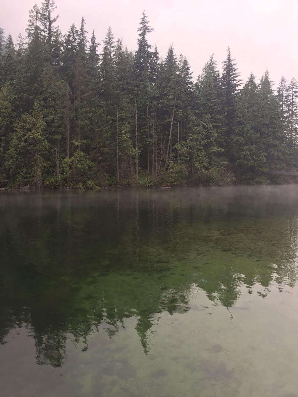 Buntzen Lake Loop Trail | Buntzen Lake Trail, Anmore, BC V3H, Canada