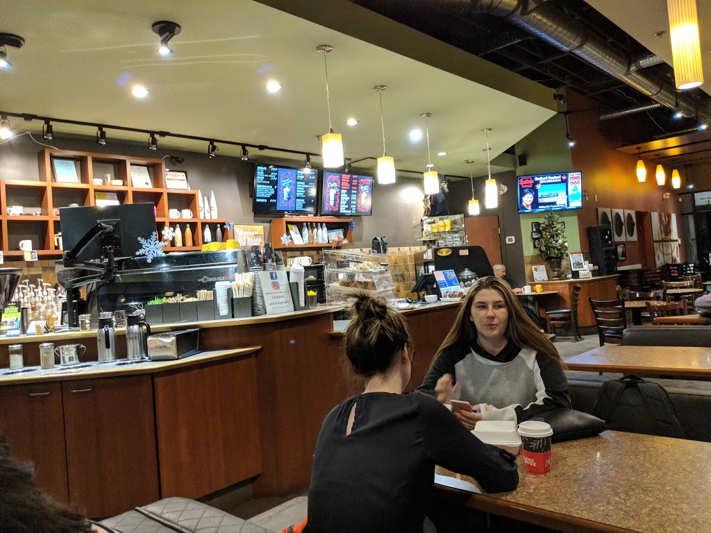 Blenz Coffee | 5100 Anderson Way #101, Vernon, BC V1T 9V2, Canada | Phone: (250) 542-9929