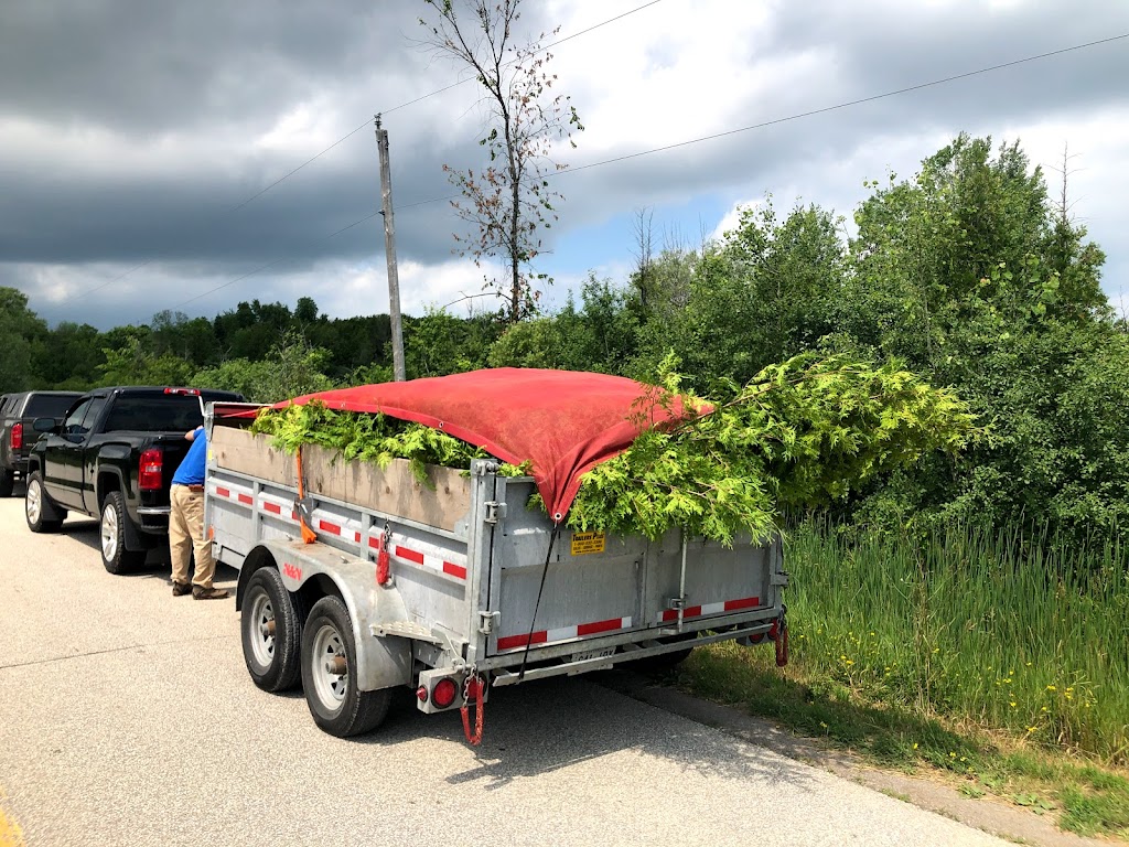 Tandem Tree Service | 641 Annland St, Pickering, ON L1W 1A9, Canada | Phone: (647) 467-8733