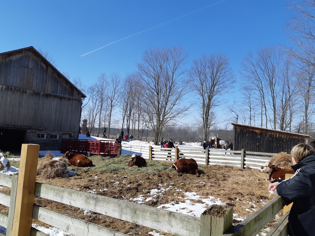 Bronte Creek Heritage Village | Unnamed Road, Oakville, ON L6M 4J7, Canada