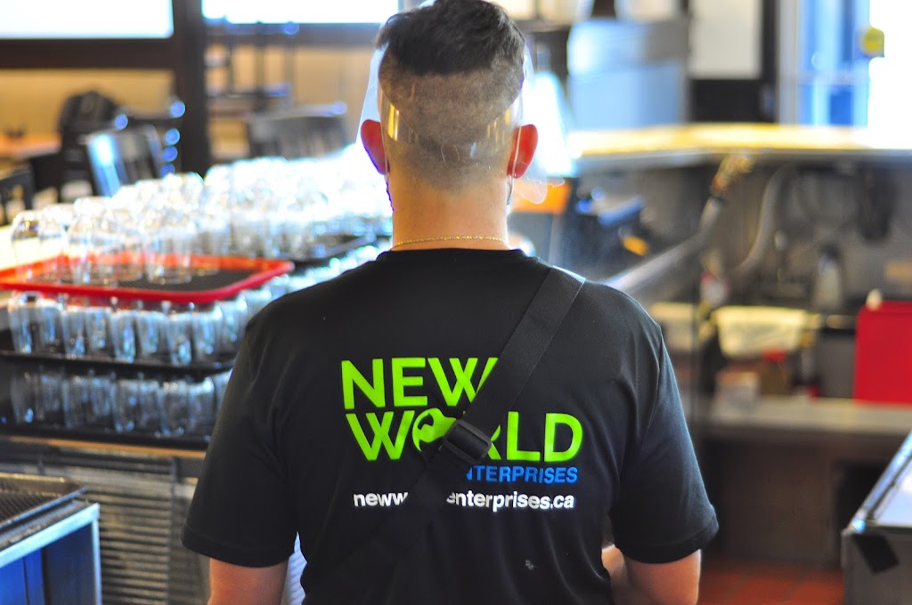 New World Enterprises | 1256 Sandhill Dr Unit 3, Ancaster, ON L9G 4V5, Canada | Phone: (905) 906-7275