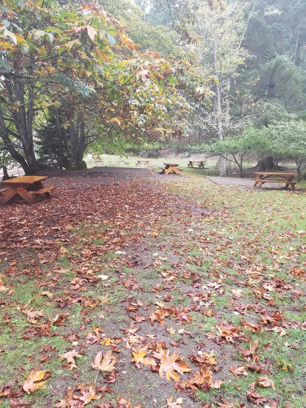 Shingle Bay Campground | Shingle Bay Rd, Pender Island, BC V0N 2M1, Canada