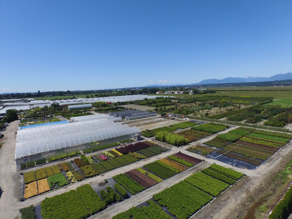 East Richmond Nurseries Inc. | 18431 Westminster Hwy, Richmond, BC V6V 1B1, Canada | Phone: (604) 278-0976