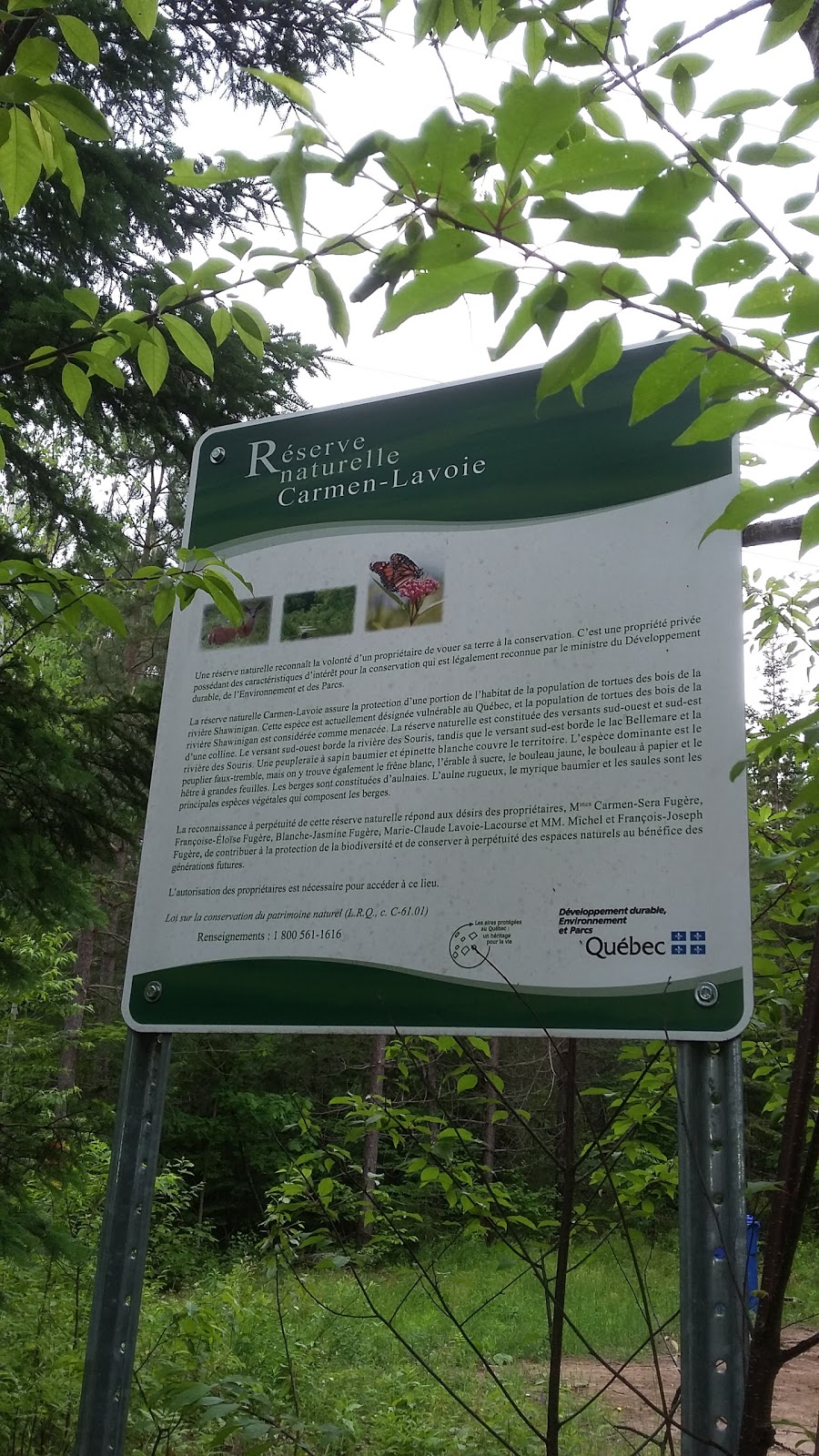 Réserve naturelle Carmen-Lavoie | 999 Chemin des Ancêtres, Saint-Mathieu-du-Parc, QC G0X 1N0, Canada