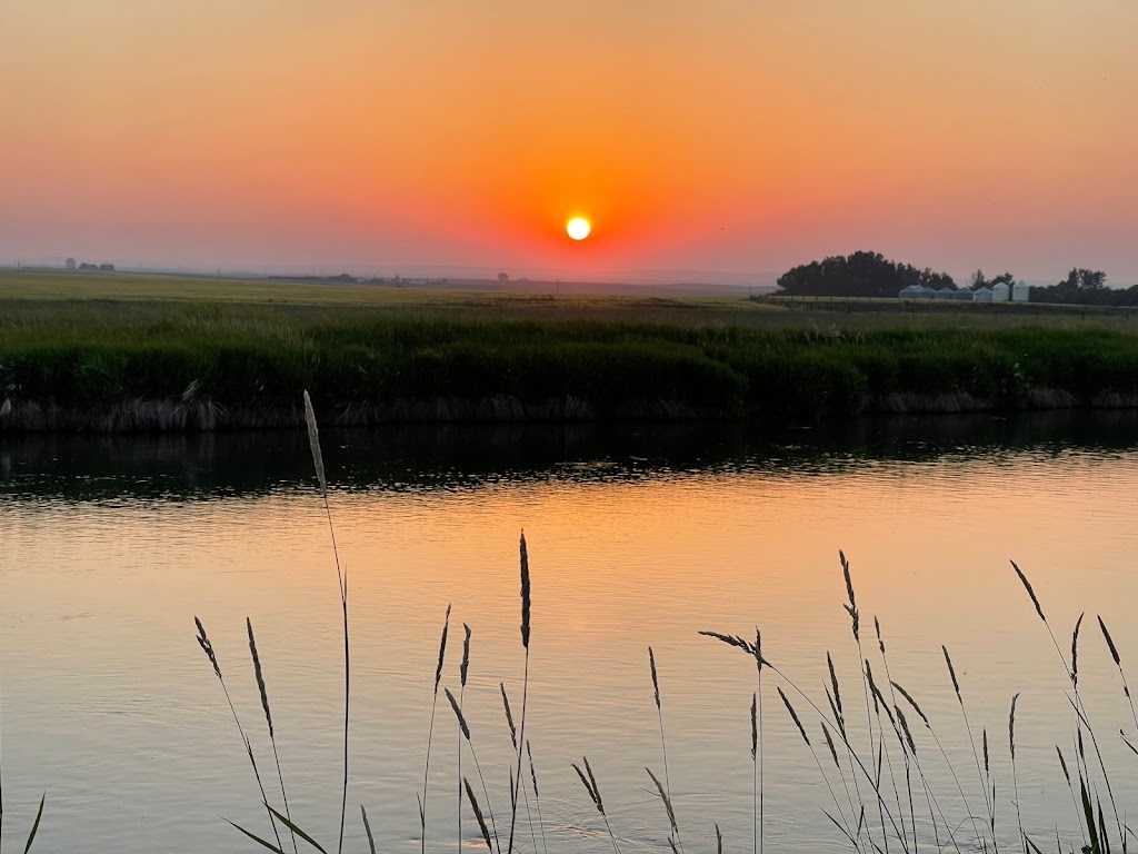 Lake McGregor Provincial Recreation Area | Unnamed Road, Milo, AB T0L 1L0, Canada | Phone: (403) 897-3933