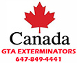 GTA Exterminators | 650 Lawrence Avenue West Toronto, ON, M6A 3E8 | Phone: (647) 849-4441