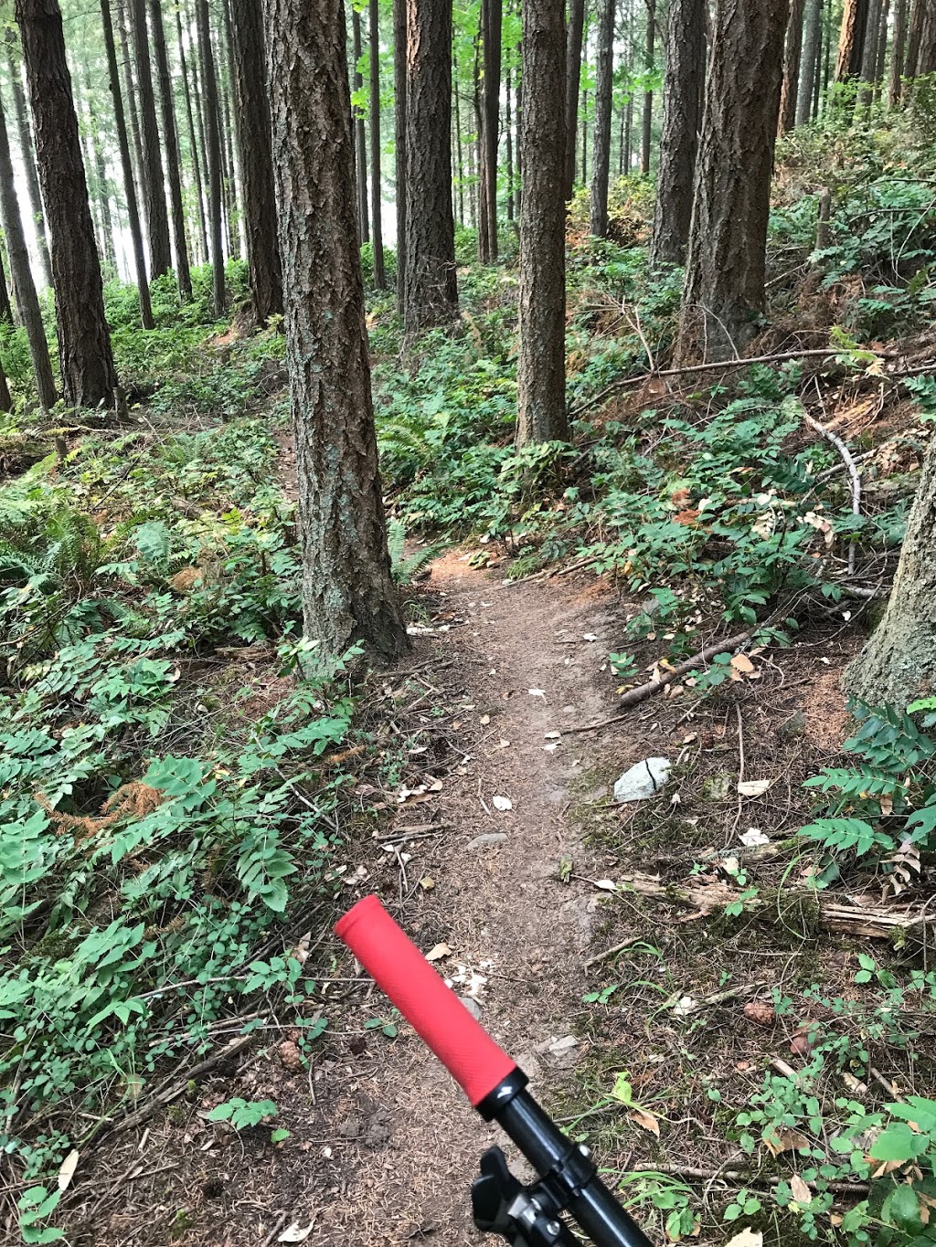 Mount Tzouhalem Nevilane Dr Trailhead | North Cowichan, BC V9L 5S6, Canada