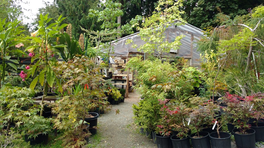 Peninsula Flowers Nursery | 8512 W Saanich Rd, North Saanich, BC V8L 5W1, Canada | Phone: (250) 652-9602