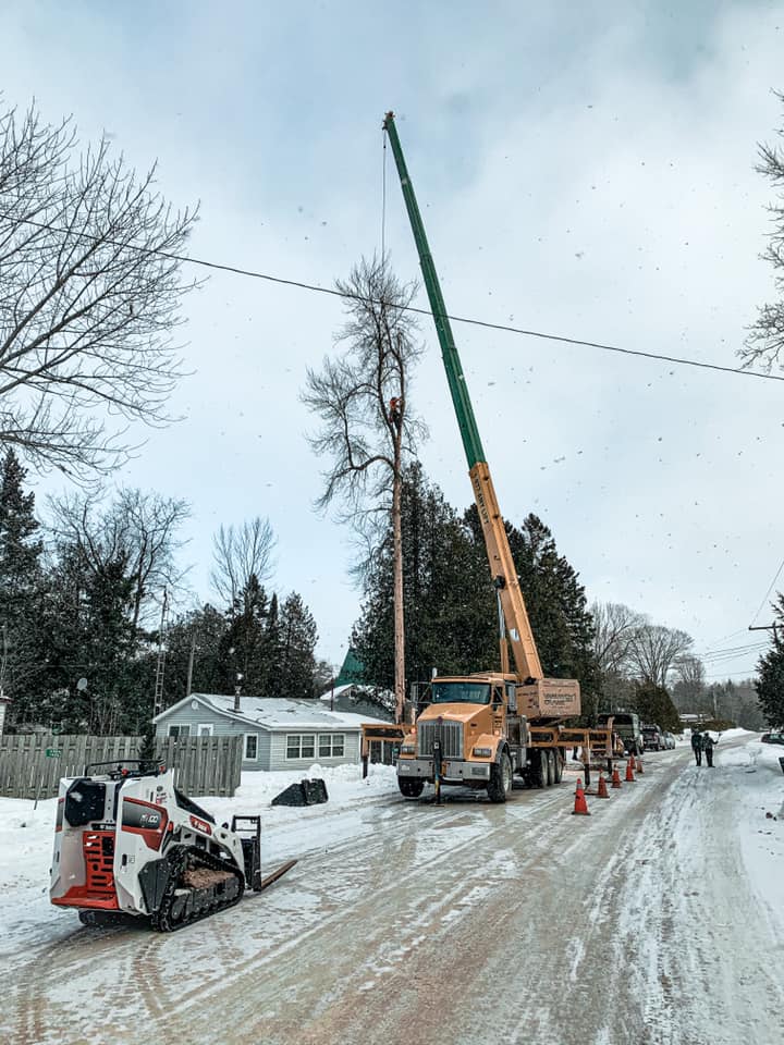 Great Lakes Tree Experts (4) | 48 Cedar Bush Dr, Southampton, ON N0H 2L0, Canada | Phone: (226) 668-4961