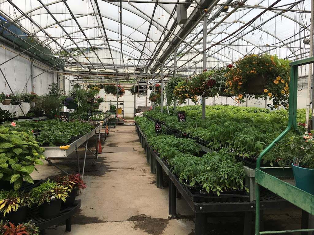 Summerland Greenhouses Ltd | 6711 Canyon View Rd, Summerland, BC V0H 1Z7, Canada | Phone: (250) 494-9441