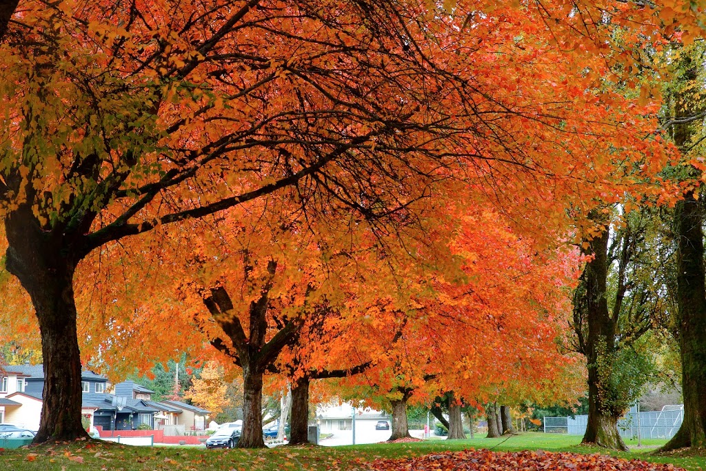 Evergreen Park Playground | Port Coquitlam, BC V3B 3C7, Canada | Phone: (604) 927-7926