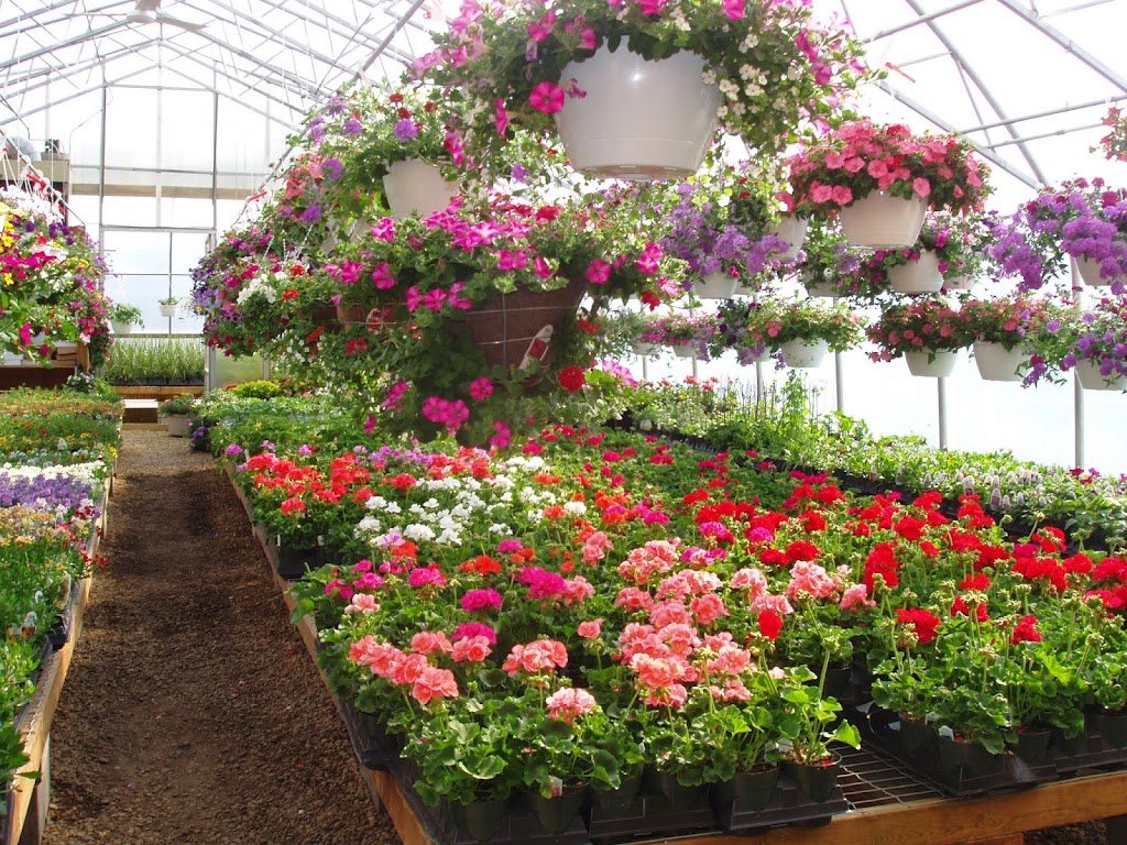 Westway Gardens Greenhouse | 200 Railway Ave, Bittern Lake, AB T0C 0L0, Canada | Phone: (780) 672-6029