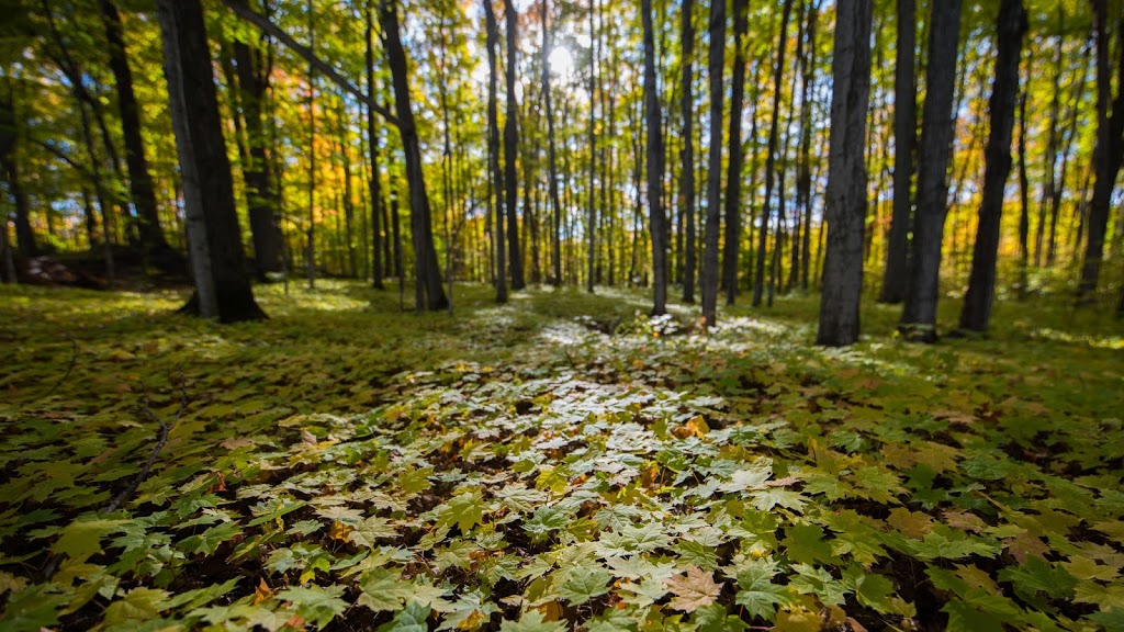 Monk Environmental Park | South March, Ottawa, ON K2K 1X7, Canada