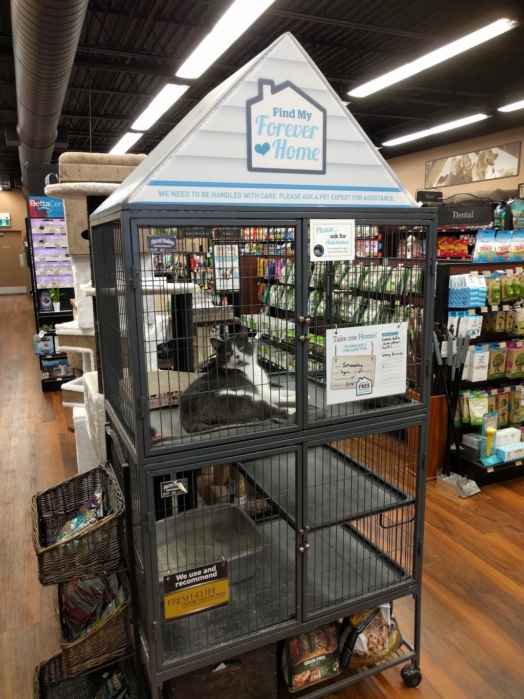 Pet Valu | 1755 Pickering Pkwy, Pickering, ON L1V 6K5, Canada | Phone: (905) 619-3218