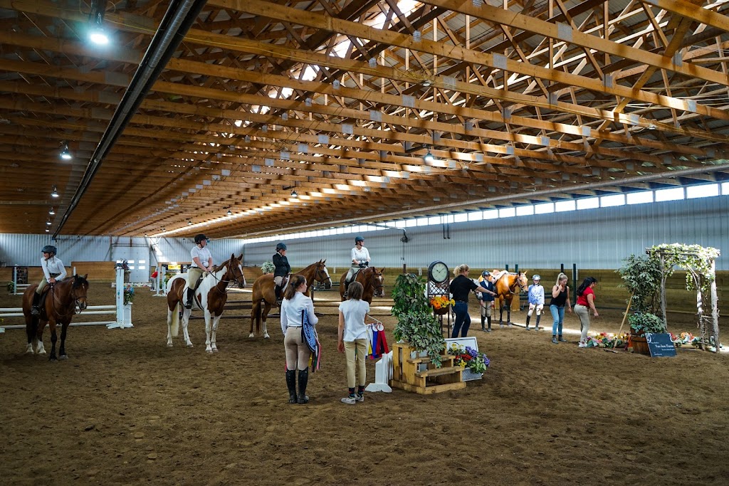 Tailwind Equestrian | 211043 Twp Rd 84B Rd, Lethbridge, AB T1J 5N6, Canada | Phone: (403) 915-2252