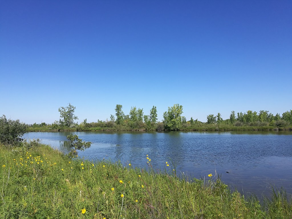 FortWhyte Alive Bison Lookout | Unnamed Rd,, Winnipeg, MB R3P 0S8, Canada