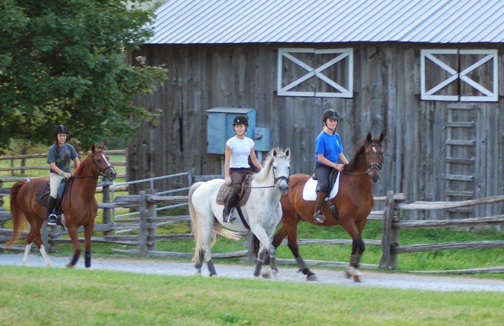 Whitchurch Riding Academy | 19480 McCowan Rd, Mount Albert, ON L0G 1M0, Canada | Phone: (905) 473-5260