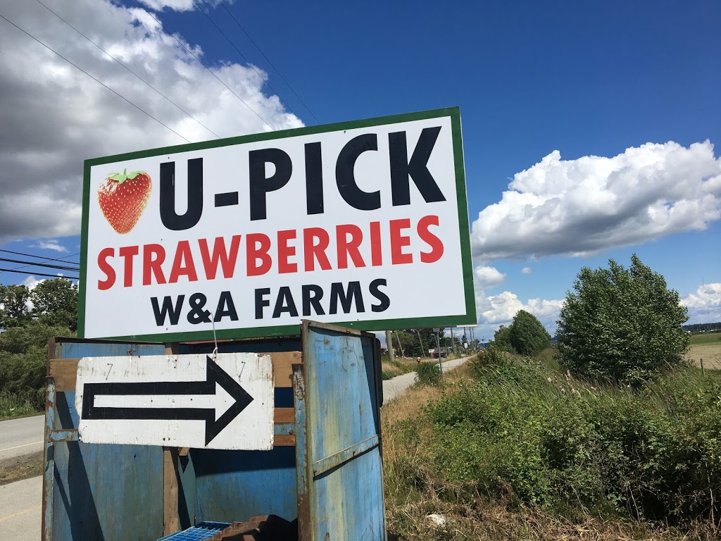 W & a Farms | 17771 Westminster Hwy, Richmond, BC V6V 1A9, Canada | Phone: (604) 278-5667