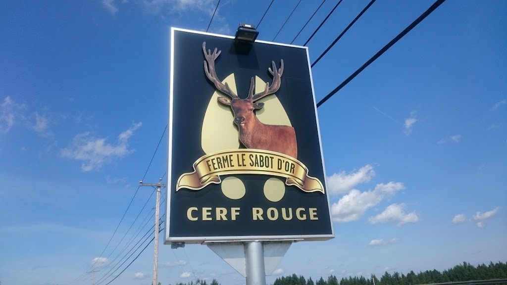 Ferme Le Sabot Dor | 976 QC-253, Cookshire-Eaton, QC J0B 1M0, Canada | Phone: (819) 832-4387