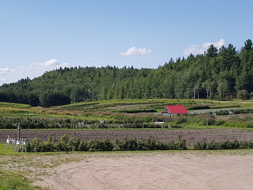 Domaine Le Cageot | 5455 Chemin St André, Jonquière, QC G7X 7V4, Canada | Phone: (418) 547-2857