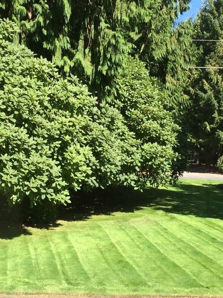 Terra Flourish Lawn & Garden Care Inc. | 2039 Ocean Ave W, Sidney, BC V8L 4S4, Canada | Phone: (250) 216-0020