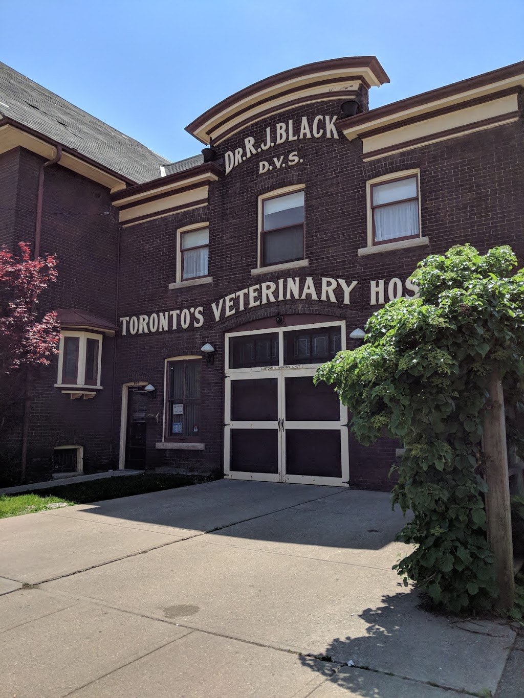 Blacks Toronto Veterinary Hospital | 923 Queen St E, Toronto, ON M4M 1J6, Canada | Phone: (416) 466-7351