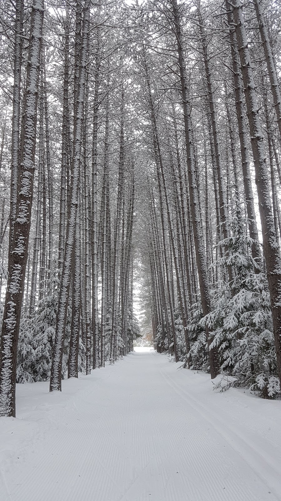 Le Randonneur | 1000 Chemin des Voyageurs, Mont-Tremblant, QC J8E 1T1, Canada | Phone: (866) 783-5633