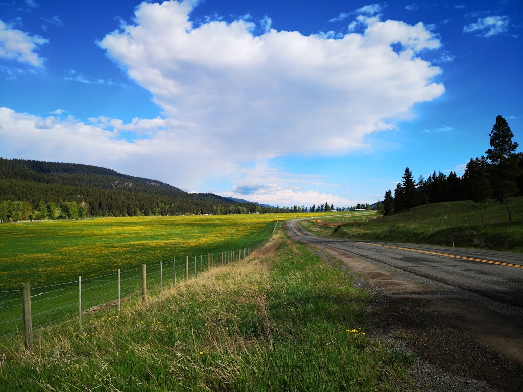 Left Field Cider Company | Logan Lake, BC V0K 1W0, Canada | Phone: (250) 448-6991