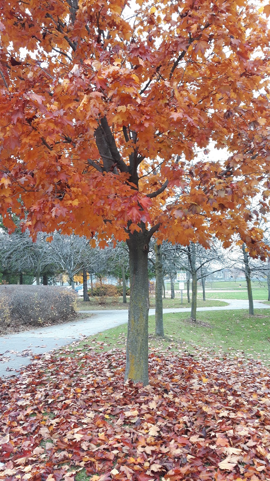 James Edward Park | Markham, ON L3S, Canada