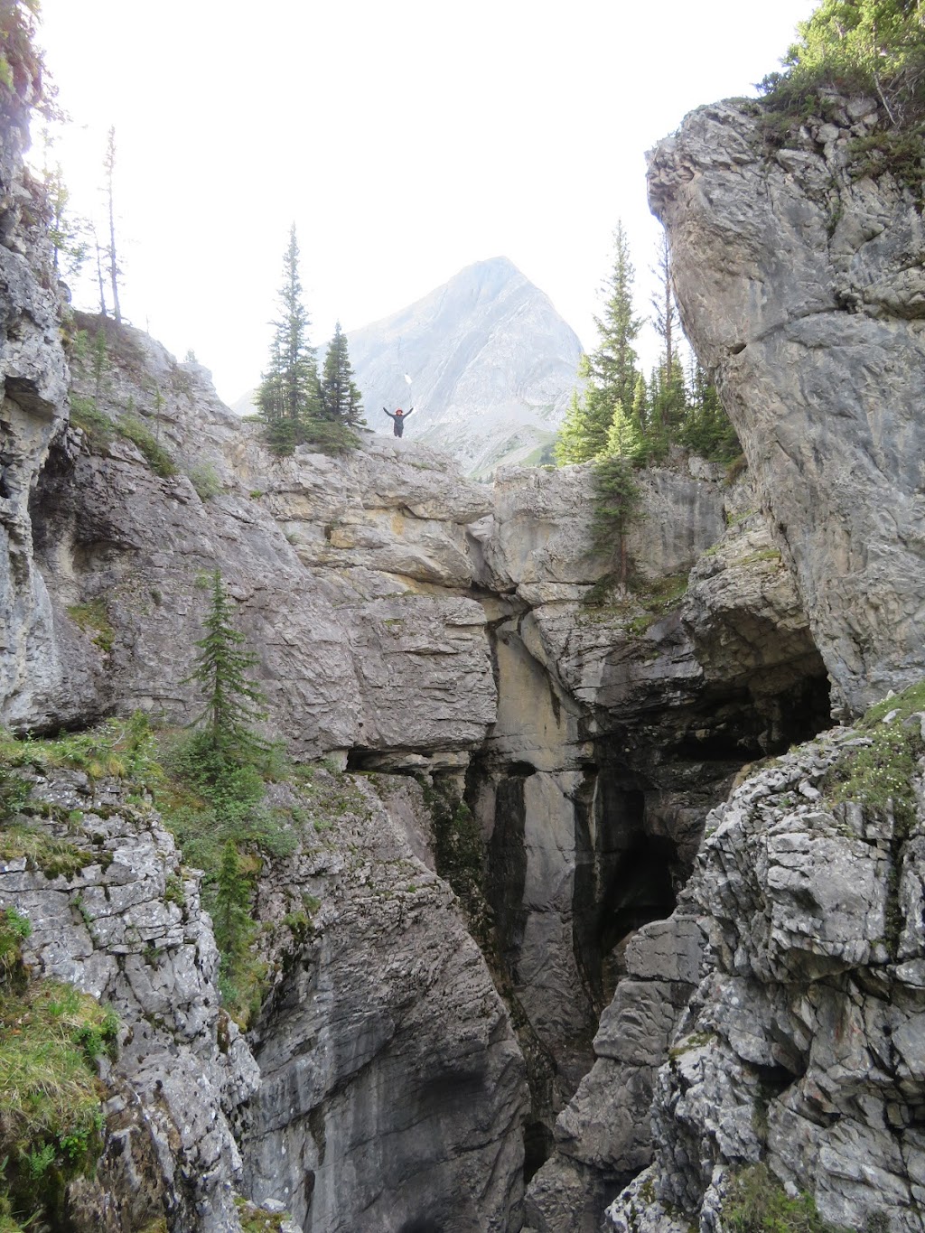 Turbine Canyon Backcountry Campground | Kananaskis, AB T0L 2C0, Canada | Phone: (403) 678-3136