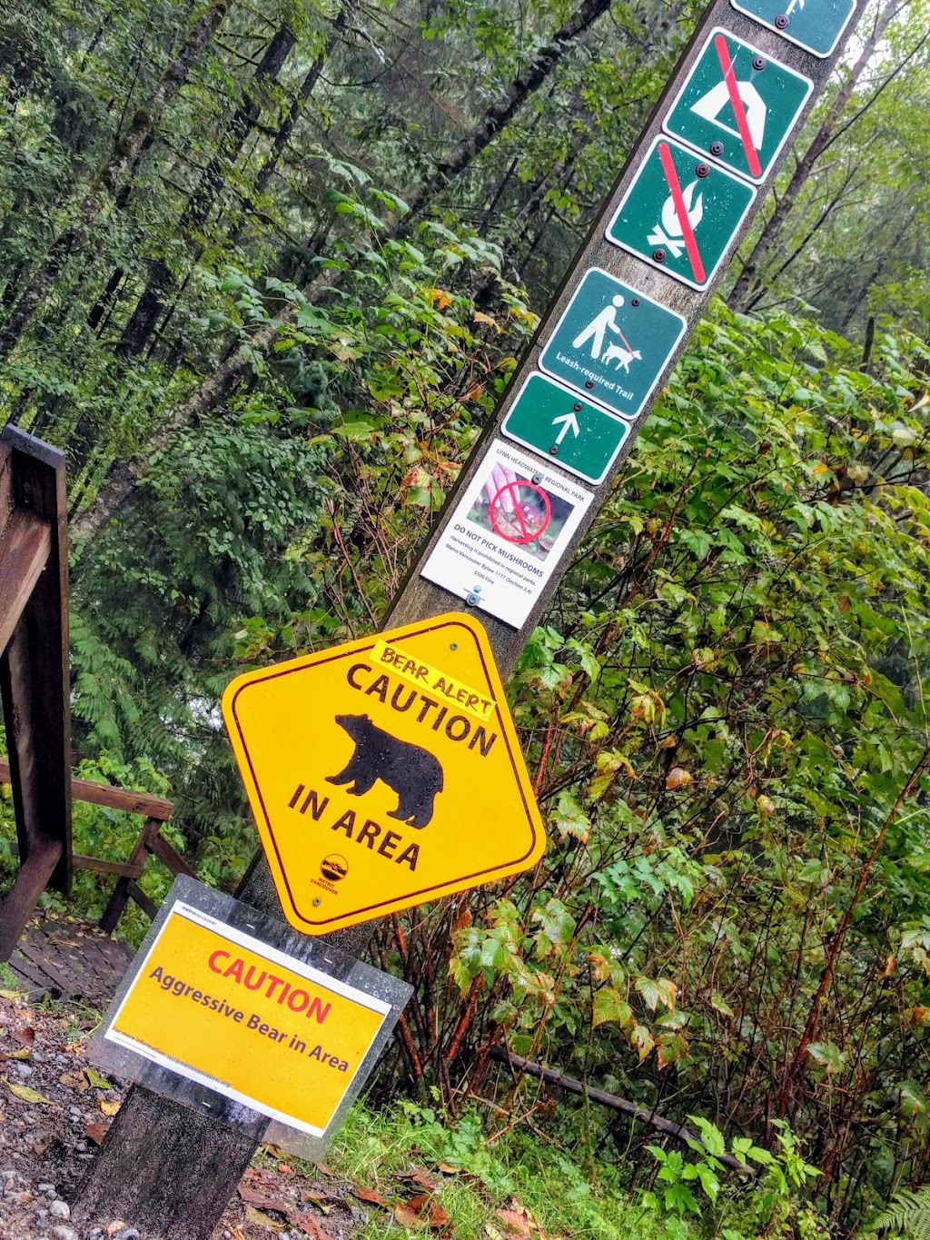 Cedar Mills Trail free parking | 4654-4800 Lynn Valley Rd, North Vancouver, BC V7K 3B2, Canada