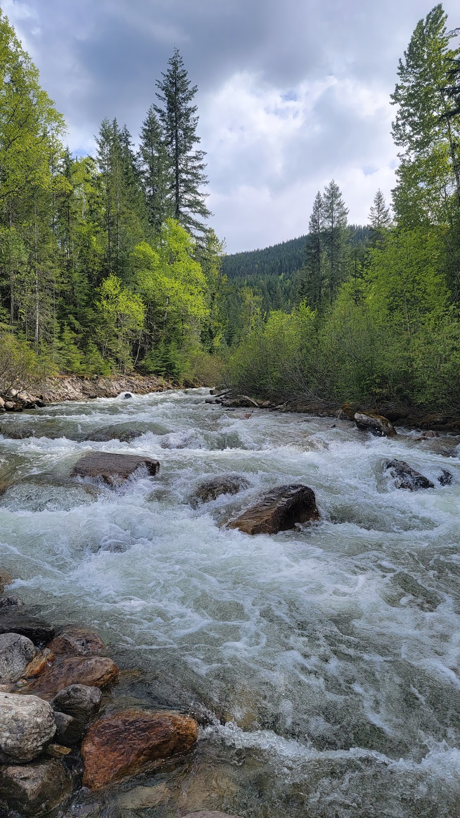 Blanket Creek Provincial Park | British Columbia, Canada | Phone: (250) 837-5734