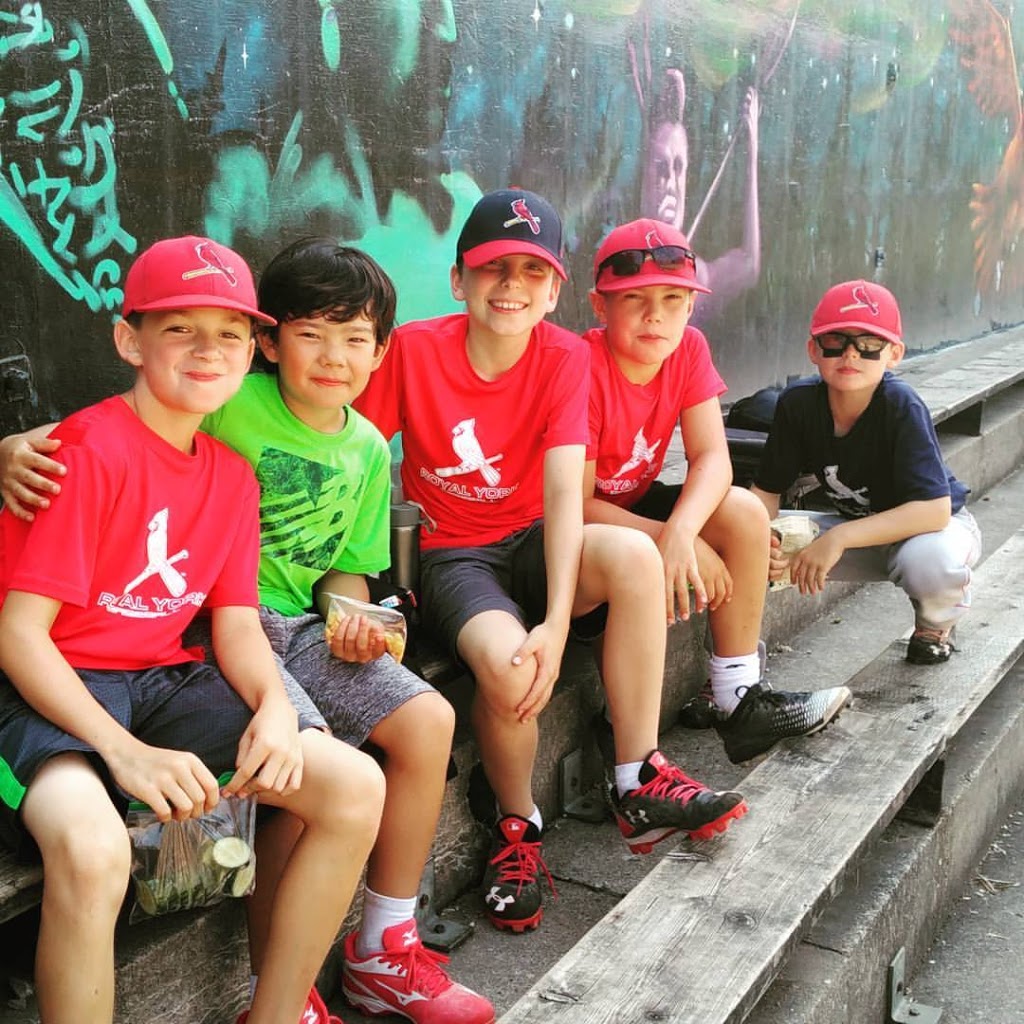 Balan Baseball Academy | 290 Clendenan Ave, Toronto, ON M1P 4N7, Canada | Phone: (647) 853-1927