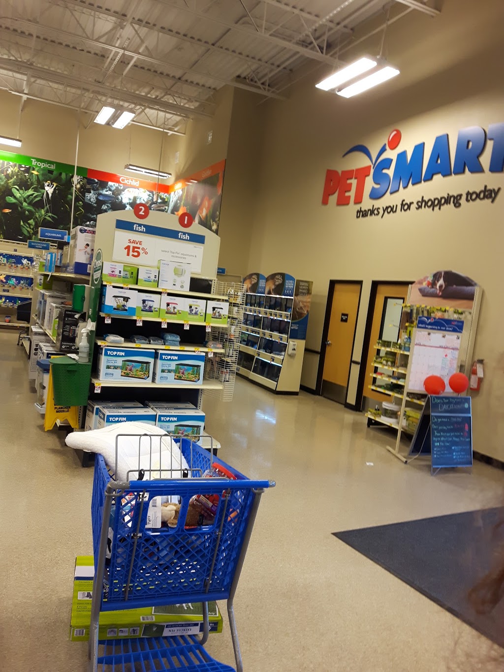 PetSmart | 1779 Stone Church Rd E, Stoney Creek, ON L8J 0B4, Canada | Phone: (905) 578-1428