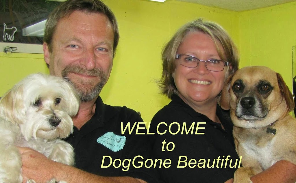 DogGone Beautiful | 1502 Cherryhill Rd, Peterborough, ON K9K 1A6, Canada | Phone: (705) 749-3220