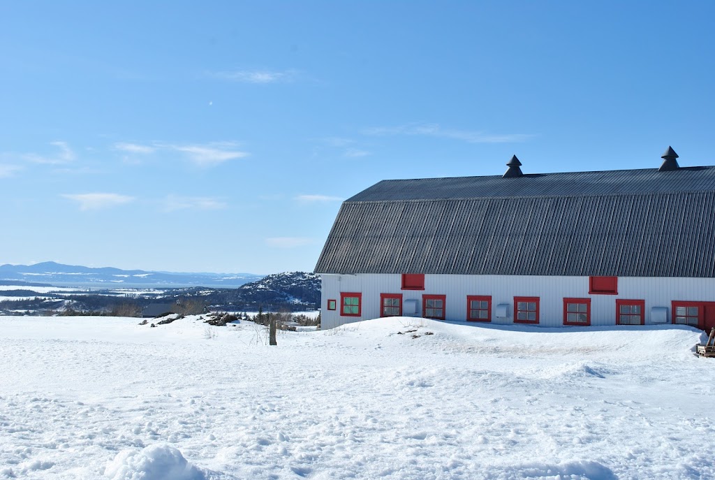 Ferme des Rhizomes | 824 QC-230, Saint-Pascal, QC G0L 3Y0, Canada | Phone: (418) 943-8643