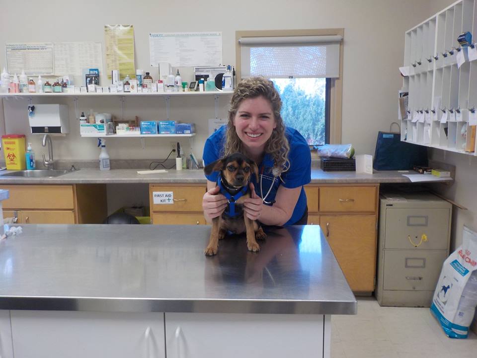 Fairmont Animal Hospital | 995 Hamilton Rd, London, ON N5W 1A4, Canada | Phone: (519) 453-2940