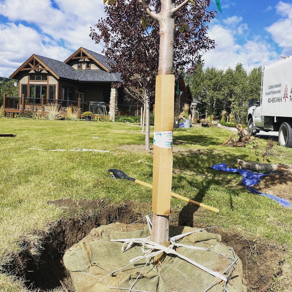 Ascent Tree Services Ltd. | 184 Sundown Rd, Cochrane, AB T4C 2M5, Canada | Phone: (403) 466-8414