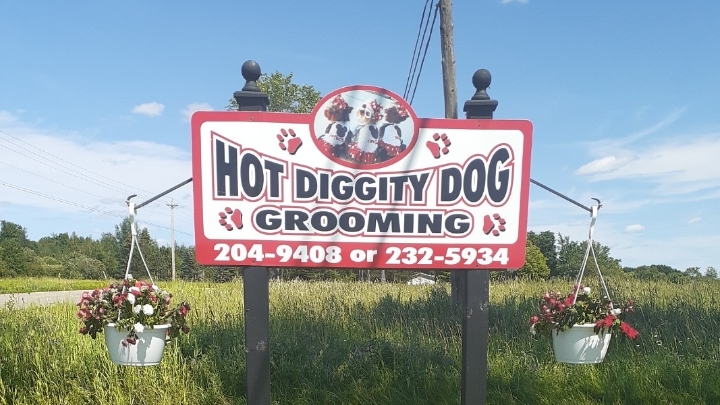 Hot Diggity Dog Grooming | 2160 Route 106, Allison, NB E1G 4L1, Canada | Phone: (506) 232-5934