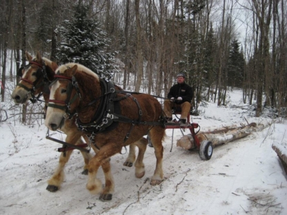 Scie Mon Arbre Inc | 1450 Chem. de la Rivière, Sainte-Agathe-des-Monts, QC J8C 0X8, Canada | Phone: (819) 321-3796