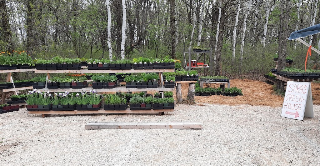 Saras Greenhouse | 1041 Filmore Rd, Saint Andrews, MB R1A 4H1, Canada | Phone: (204) 296-5709